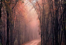 九游娱乐官网：米体：尤文将在今夏支付1400万欧买断后卫卡卢卢.