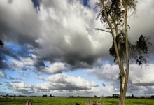 首轮对阵：山猫第7锁定热火篮网降至第6遇猛龙.